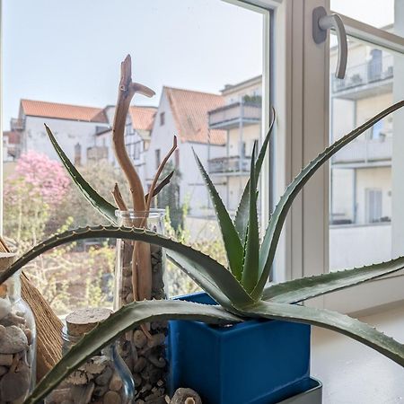 Strelapartment By Meinke Mitten In Der Altstadt Stralsund Eksteriør bilde